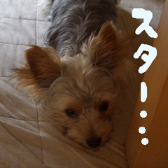 c0036617_19513081.jpg