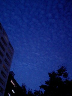 e0073418_20512794.jpg