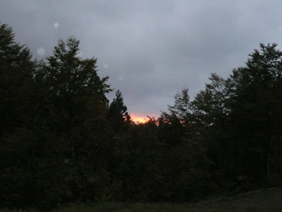a0049226_2403869.jpg