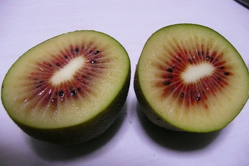 e0033229_2030170.jpg
