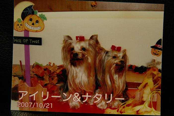 f0124830_0511142.jpg