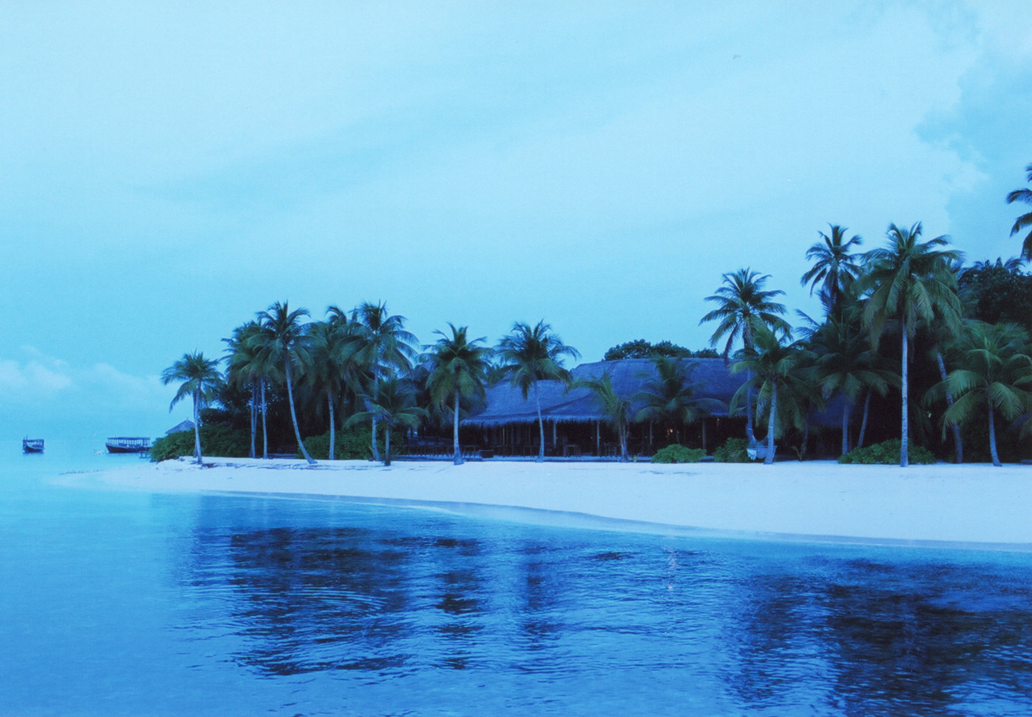d0079432_22294988.jpg