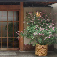 d0033734_1141293.jpg