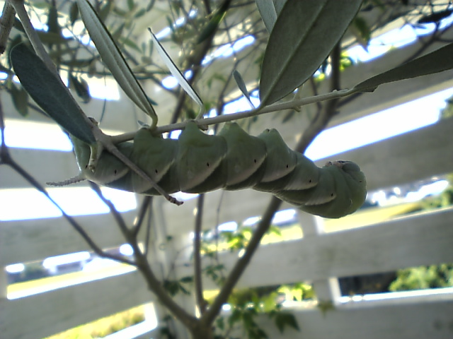 f0138934_20482154.jpg
