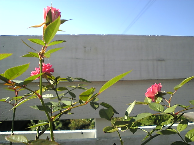 f0138934_20562328.jpg