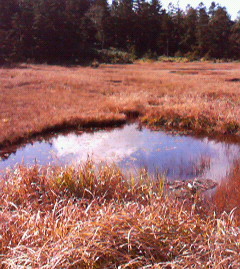 c0118536_2310164.jpg