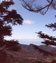 c0118536_233169.jpg