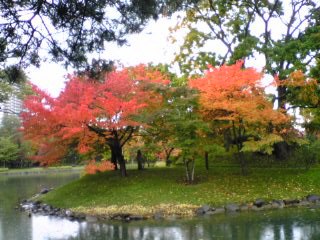 a0008538_0555323.jpg