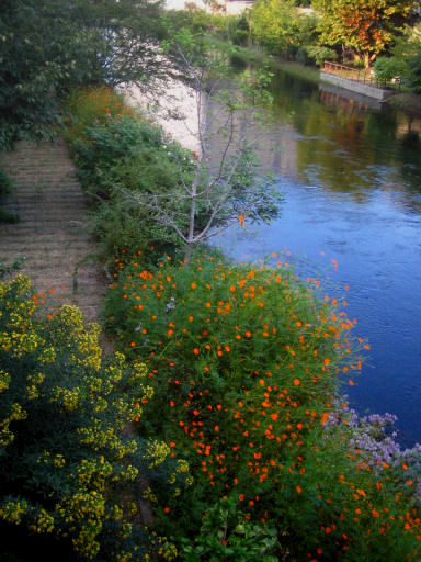 c0032138_12293418.jpg