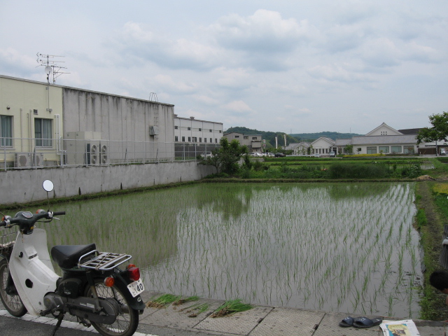 e0037439_17541446.jpg