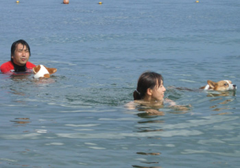 d0081541_0413378.jpg