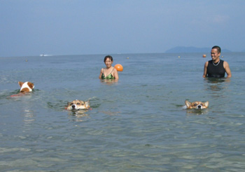 d0081541_044532.jpg