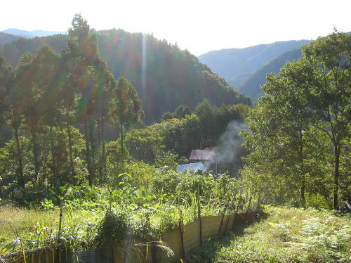 f0094843_2023817.jpg