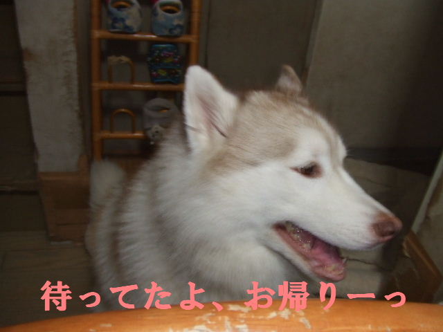 e0121548_20121537.jpg