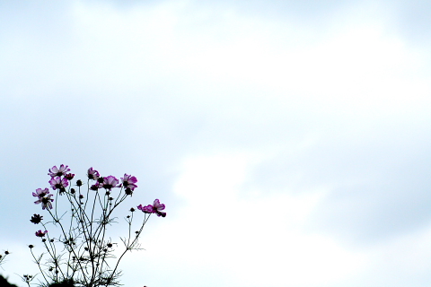 a0024250_23114163.jpg