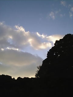 c0069552_1035839.jpg