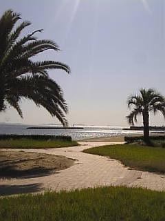 c0069552_1035888.jpg