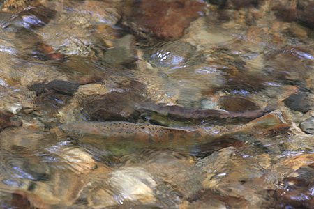 e0113053_2201321.jpg
