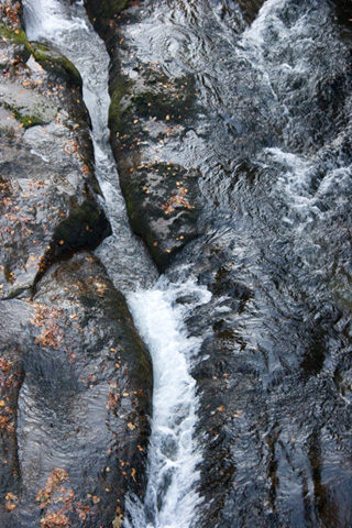 b0066154_21564112.jpg