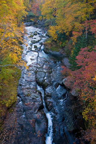 b0066154_215646.jpg