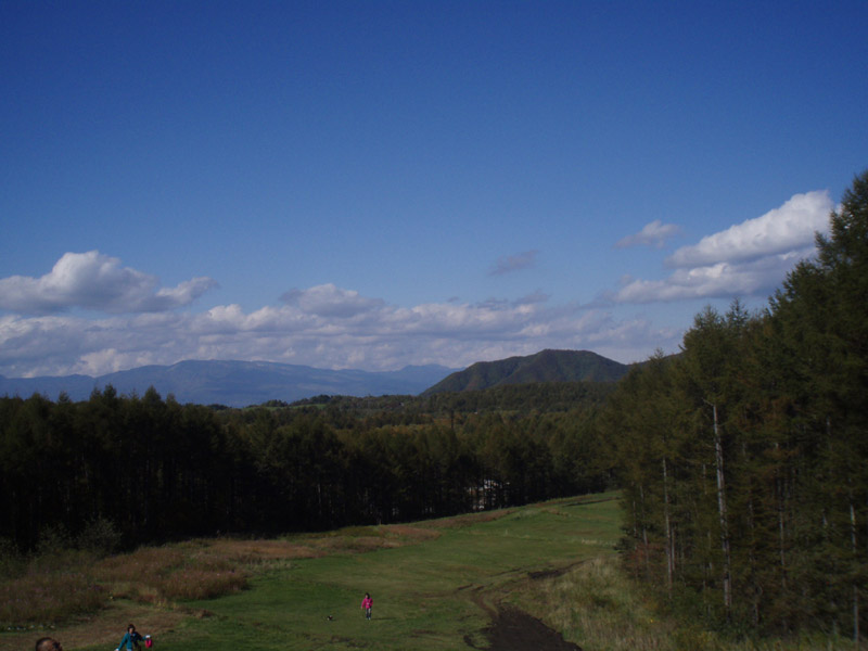 c0110361_14322359.jpg
