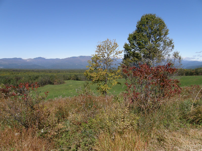 c0110361_14534775.jpg
