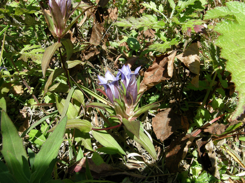 c0110361_14563355.jpg