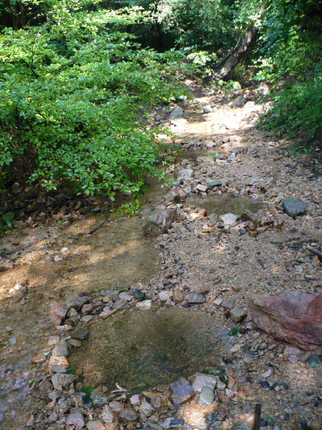 a0063364_161422.jpg