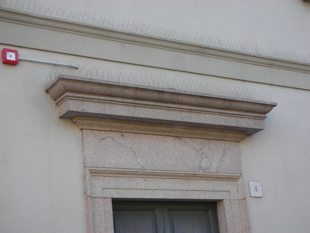 b0110467_18462298.jpg