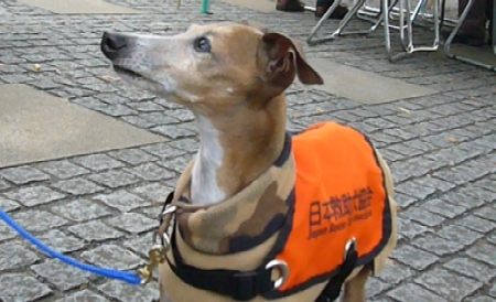 b0069169_13372326.jpg