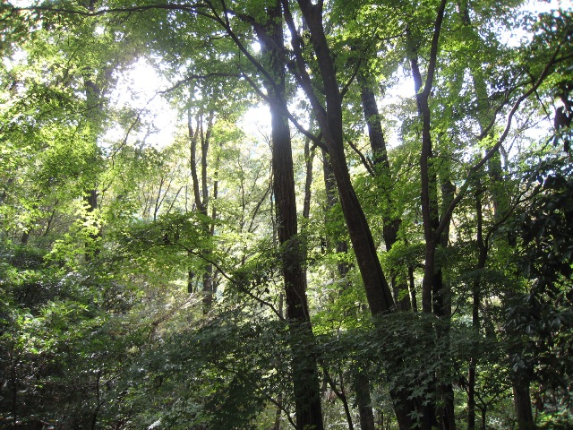 f0088569_2217356.jpg