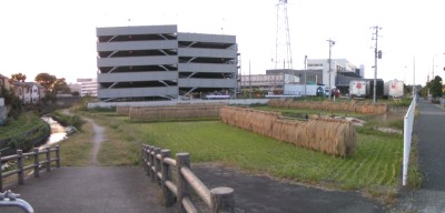 c0112172_1994723.jpg