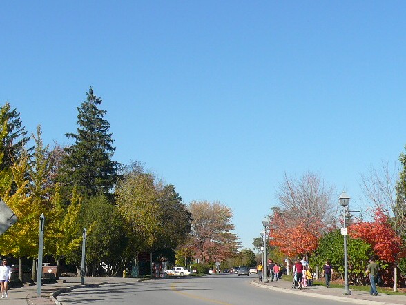 a0100975_126178.jpg