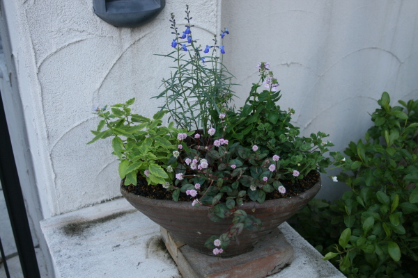e0114977_12262291.jpg