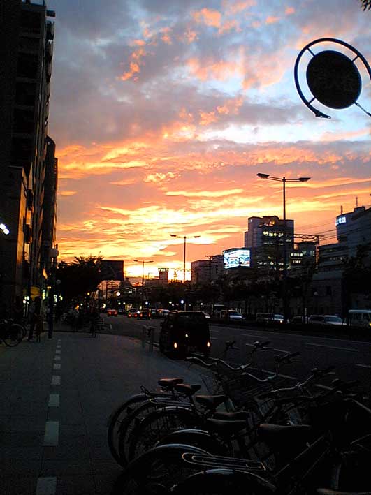 b0057679_1012882.jpg