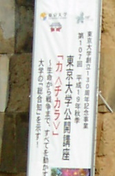 a0091680_22341523.jpg