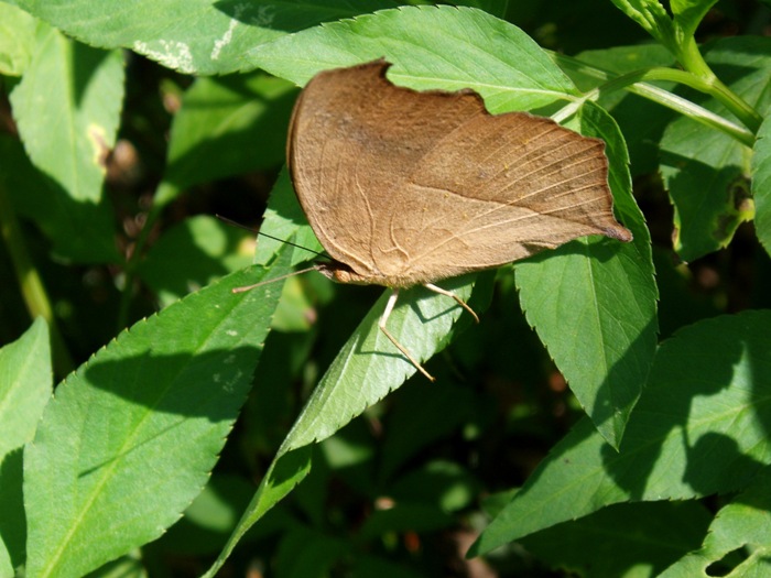 f0083281_1228598.jpg