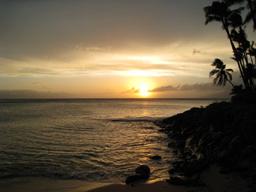 f0068883_11393611.jpg