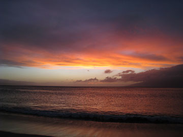 f0068883_11411023.jpg