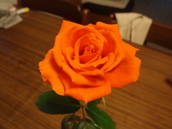 f0130894_19285191.jpg