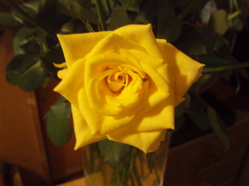 f0130894_19292684.jpg