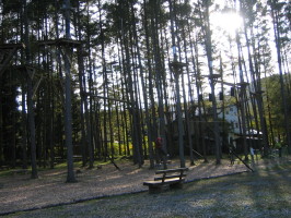 e0049598_11132971.jpg
