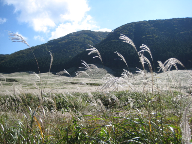 e0077599_95681.jpg