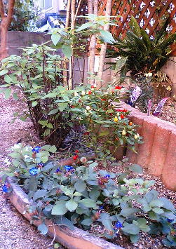 a0075802_19365810.jpg