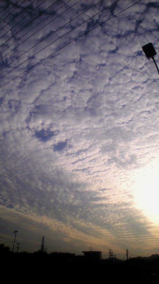 b0055202_23522570.jpg
