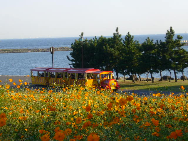 d0070702_2403565.jpg
