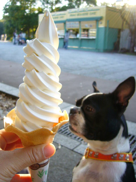 d0070702_2465826.jpg