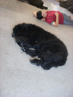 e0005603_11192661.jpg
