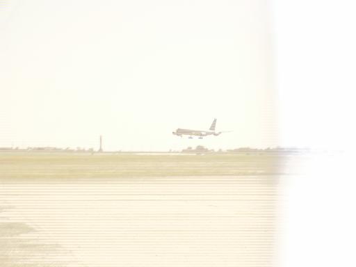 c0049105_10104661.jpg