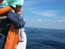 f0048405_1627233.jpg